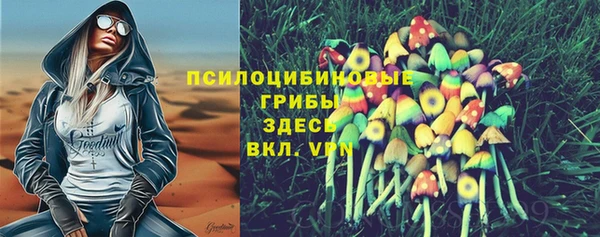 дурь Новодвинск