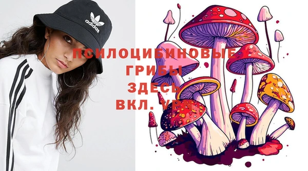 мефедрон Нефтегорск