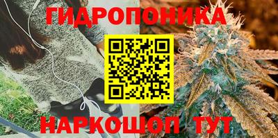 бошки Балаково