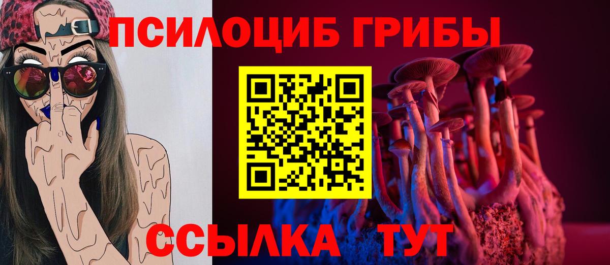 Зима  Псилоцибиновые грибы GOLDEN TEACHER  Вход с VPN 