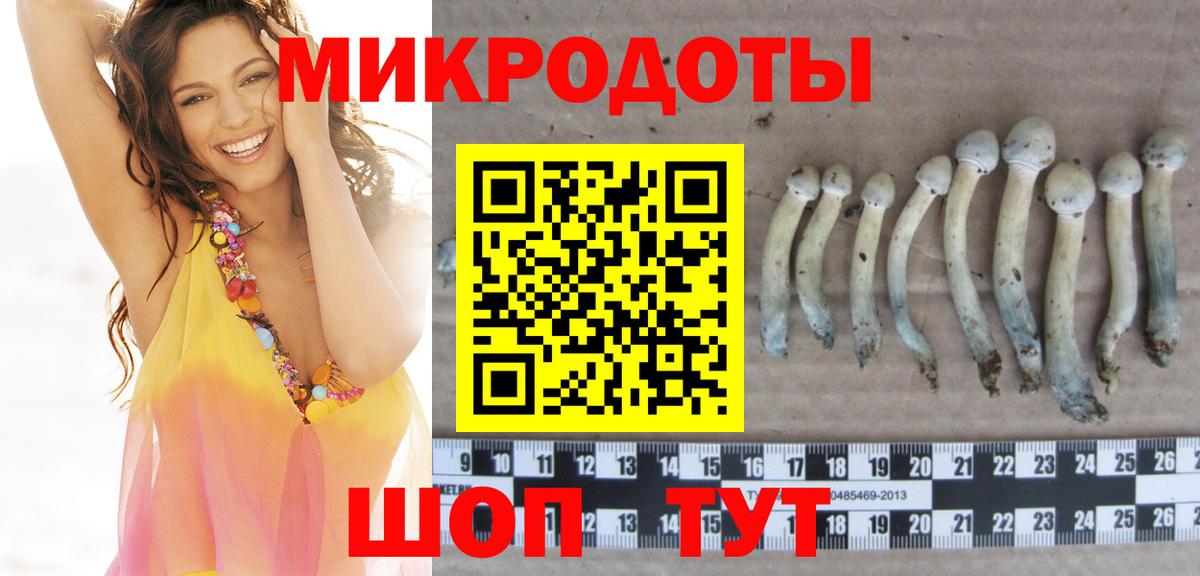 Галлюциногенные грибы MAGIC MUSHROOMS Зима